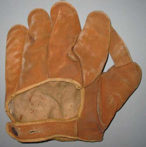 Suede 1 Inch Web Back