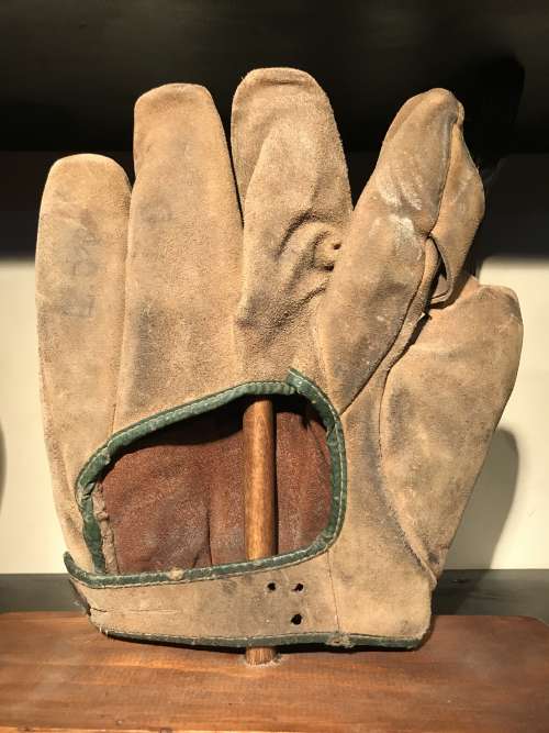 Buckskin 1 Inch Web Back