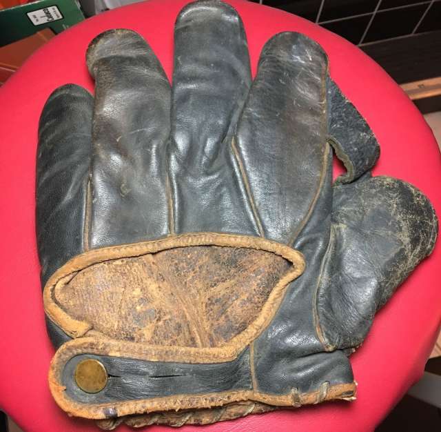 Fairview Chicago 741 1 Inch Web Back