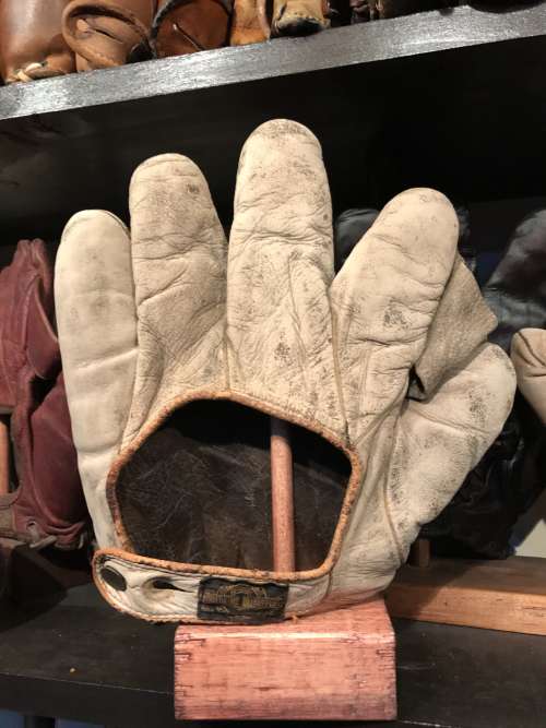 Alex Taylor Full Web White Back