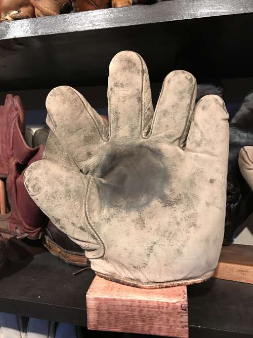 Alex Taylor Full Web White Front