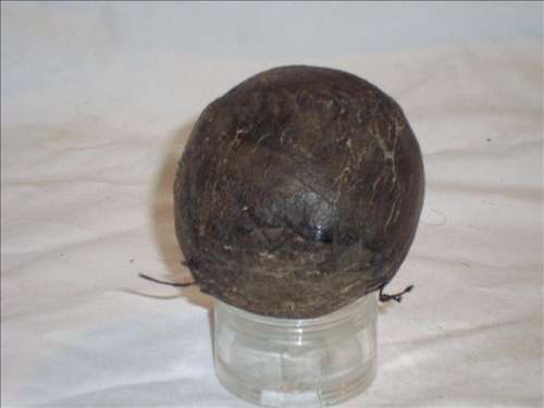 19th Century Figure 8 Unknown 91