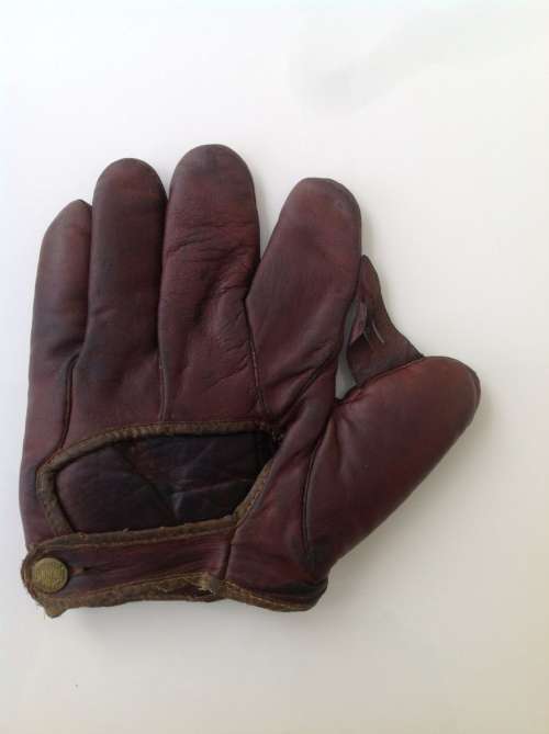 Des Moines 1 Inch Web Back