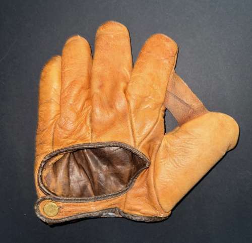 Des Moines 1 Inch Web Back