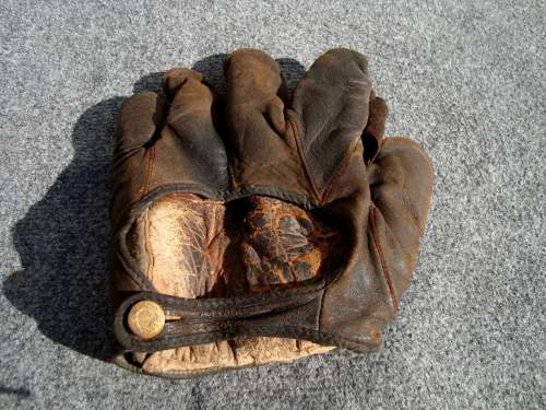 Des Moines Brown 1 Inch Web Back