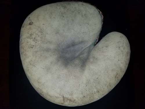 D&M Catchers Mitt Lefty Front