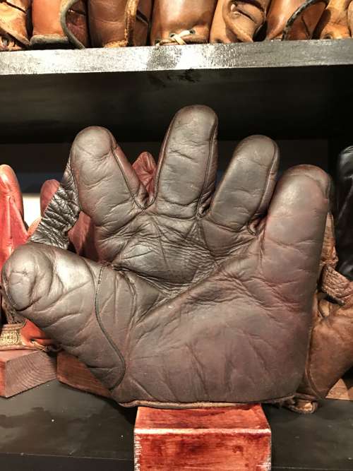 D&M 1 Inch Web Burgundy Front