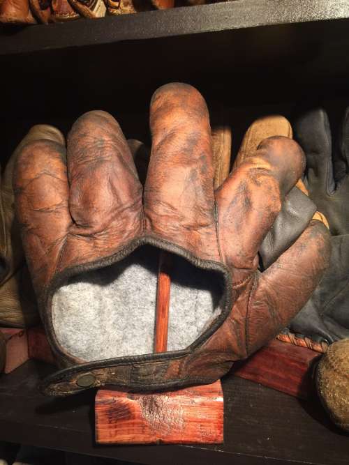 D&M Full Web Brown Back