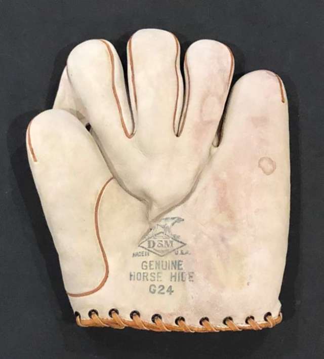 D&M G24 1 Inch Web Front