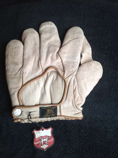 Donie Bush D&M G41 Back