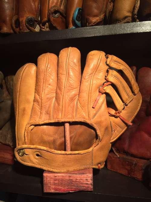 Terry Moore Dubow Back