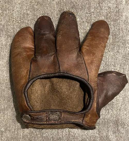 Spalding Webless Glove Back