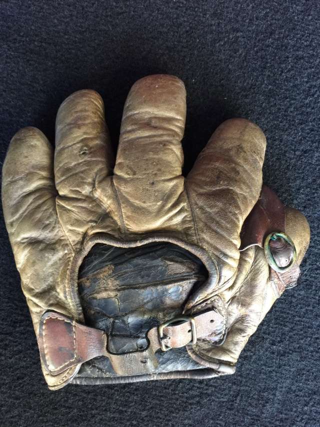 Victor Buckle Web Buckle Back Crescent Back