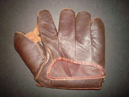 Everlast 216 1 Inch Web Back