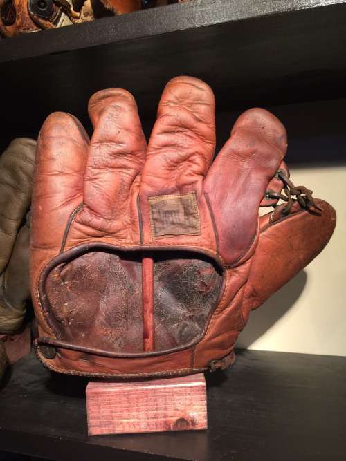 Everlast 8034 Grommet Web Back