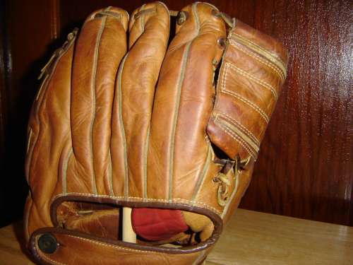 Everlast 8152 Back