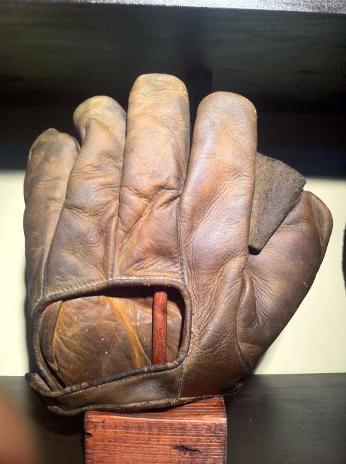 Full Web Brown Back