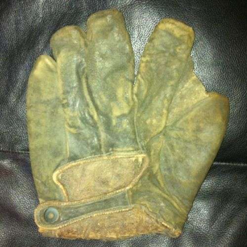 Herzog Full Web Back