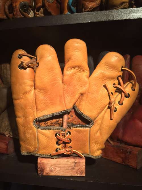 Dario Lodigiani George A. Reach GO1 Back