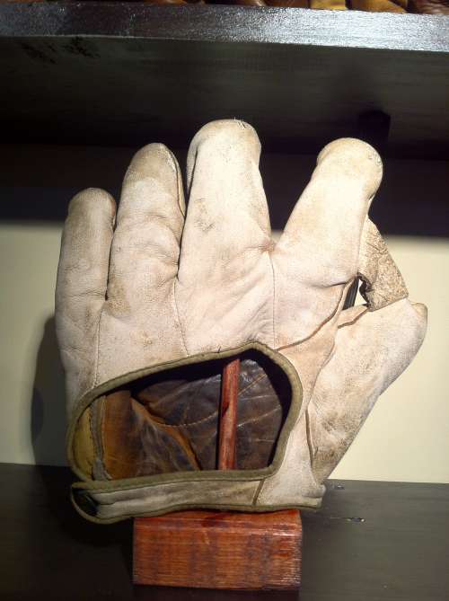 Goldsmith 29 1 Inch Web Back