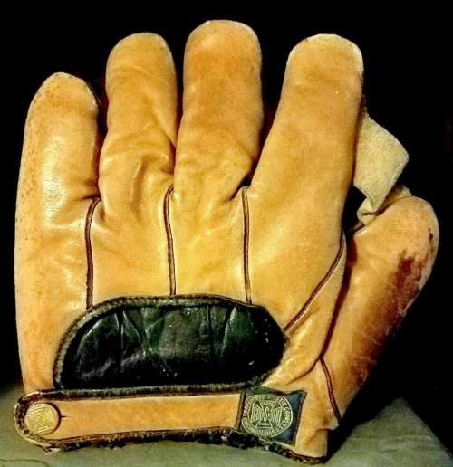 Goldsmith 44 1 Inch Web Back