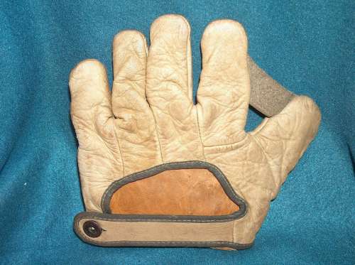 Goldsmith JG4 1 Inch Web Youth Back