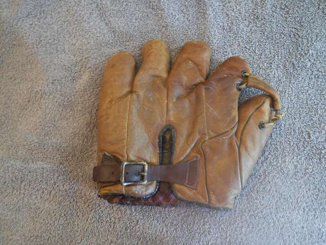 Si Johnson Goldsmith AG10 Back