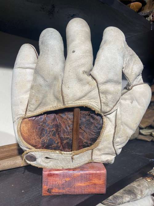 Hudson 1 Inch Web Back