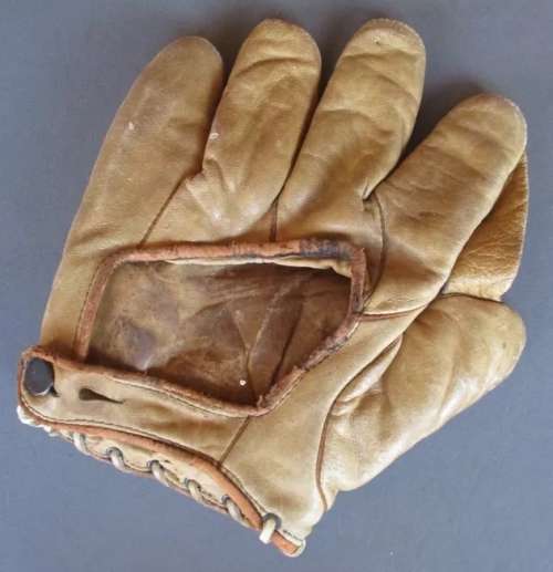 Hudson TL 1 Inch Web Back