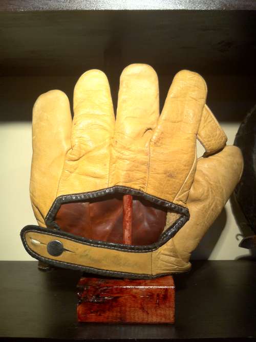 Hutch Bearcat 1 Inch Web Back