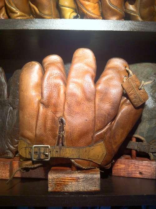 Goose Goslin JC Higgins 1675 1 Back