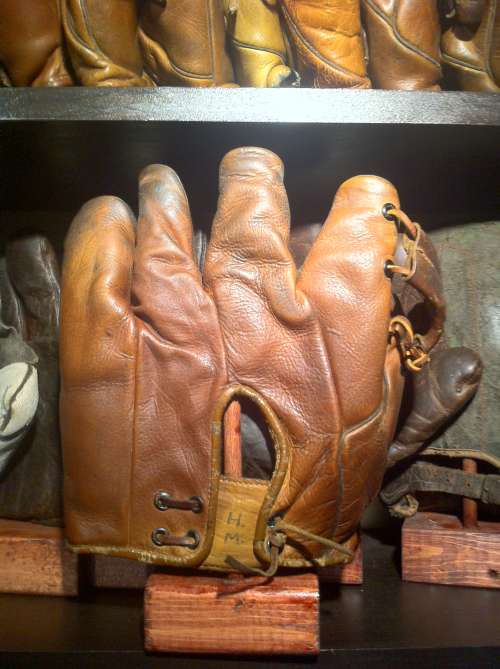 Goose Goslin JC Higgins 1675 2 Back