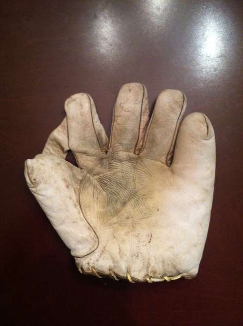 JC Higgins 1684 1 Inch Web Front