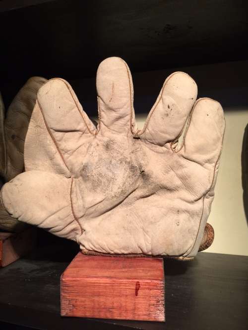 JC Higgins Full Web White Front