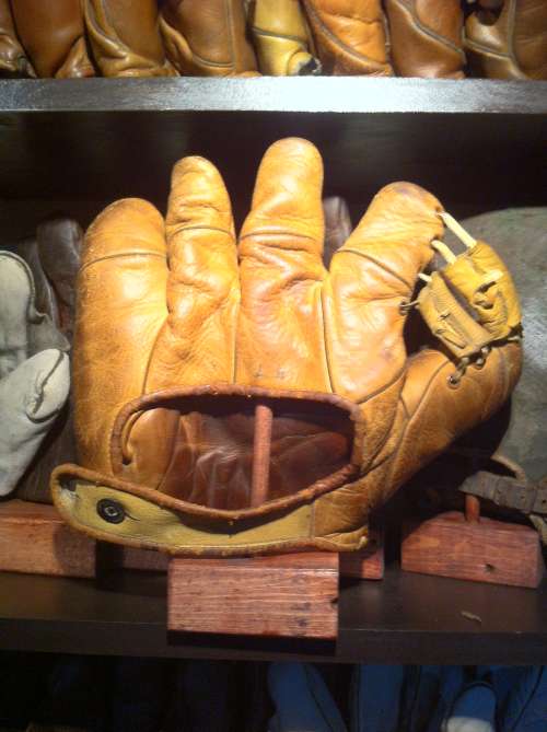 JC Higgins Xpert Back