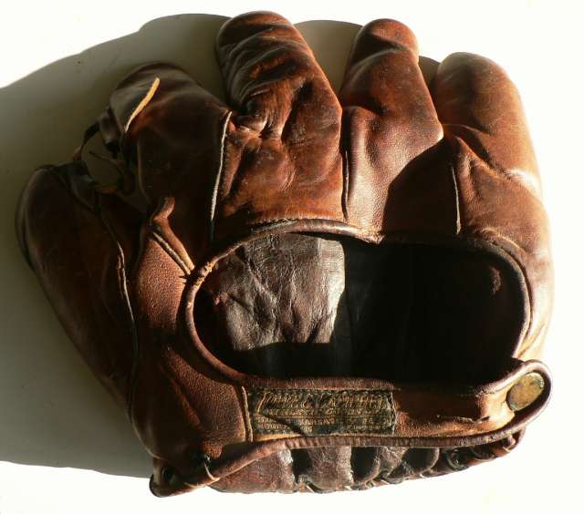 Dave Robertson Lowe & Campbell Back