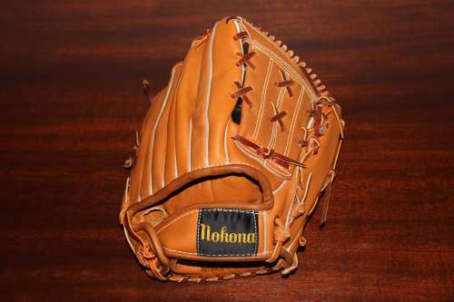 Roy Face Nokona F100 Back