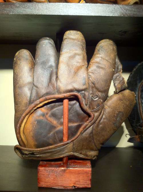 Norman 1 Inch Web Brown Back