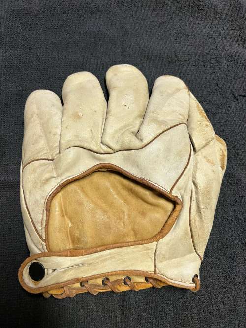 Norman G365 1 Inch Web Back