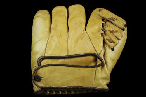 Big Yellow Splitfinger Back
