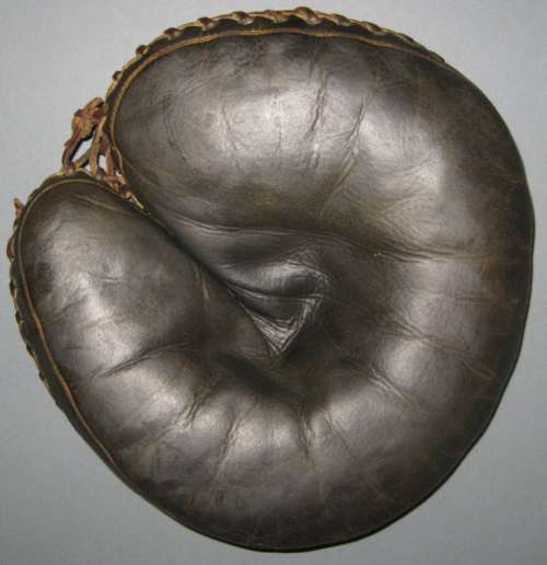 Wishart Catchers Mitt Front