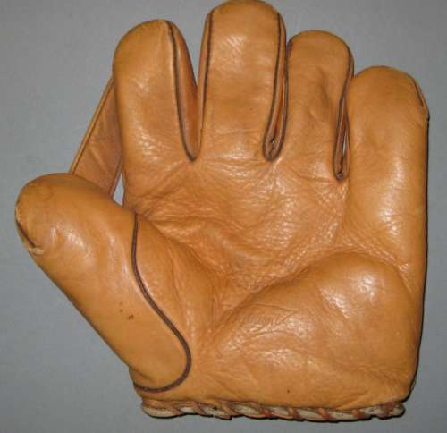 Pennant Bull Pup 1 Inch Web Front Rob