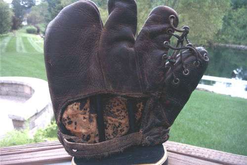 Three Finger Brown Back