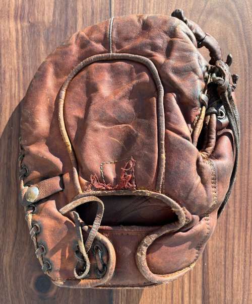 Rawlings Basemitt Back