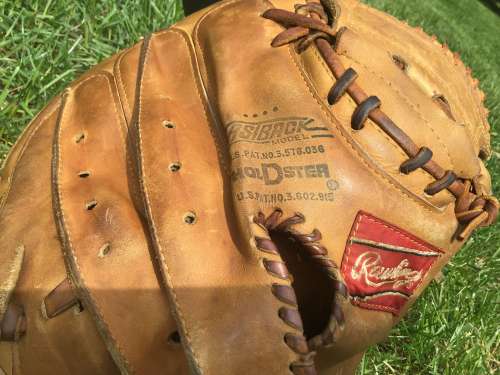 Johnny Bench Rawlings RL-1 Back