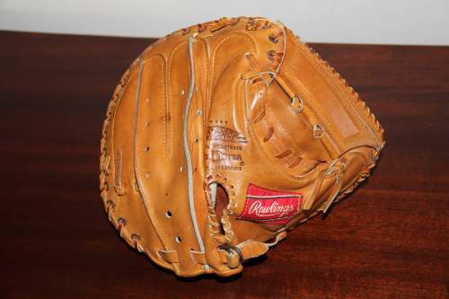 Johnny Bench Rawlings RL10 Back