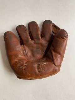 Rawlings DW15 Softball Glove Front