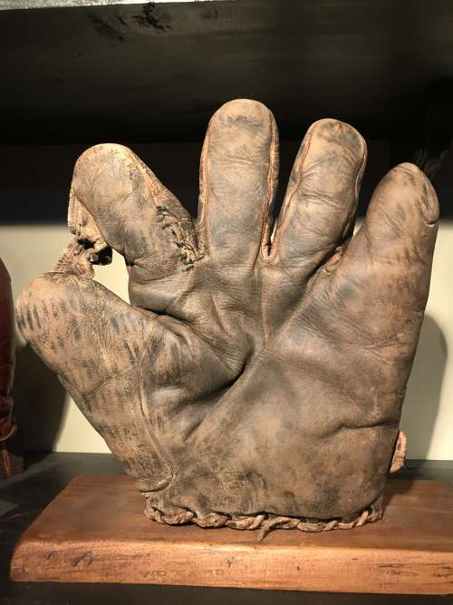 Raywill 1 Inch Web Front