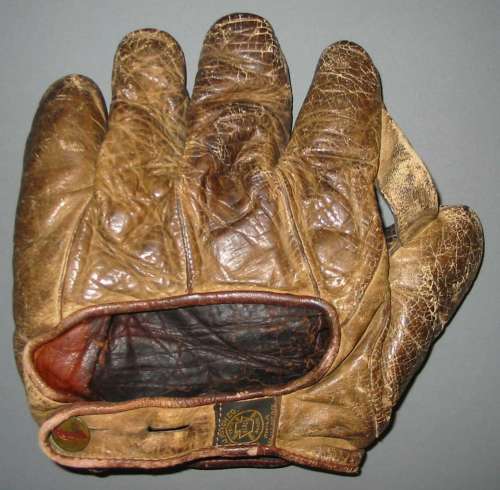 A.J. Reach Brown 1 Inch Web Back