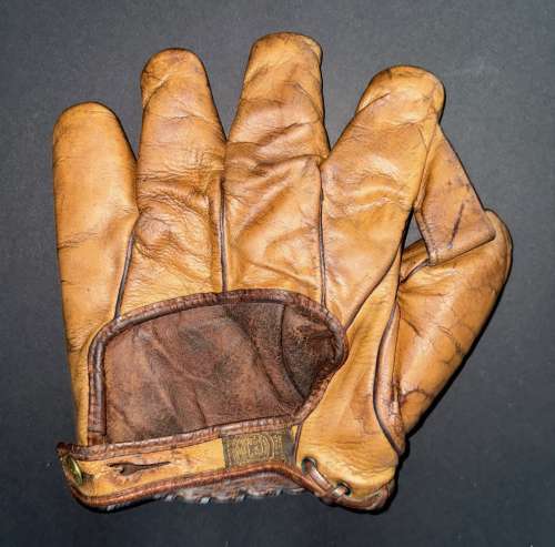 A.J. Reach 1 Inch Web Brown Back